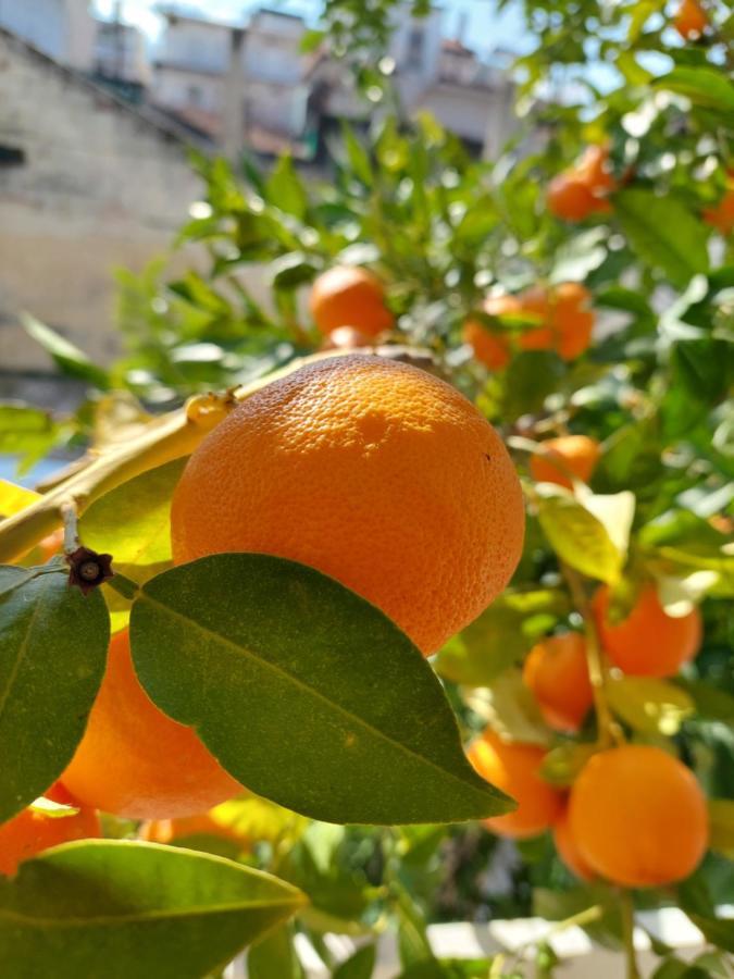 Orange Tree Apartment Asprovalta Buitenkant foto